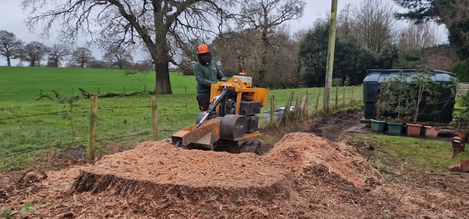Tree stump removal service in Enfield with professional equipment